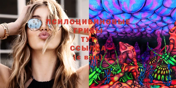 прущие крисы Балахна